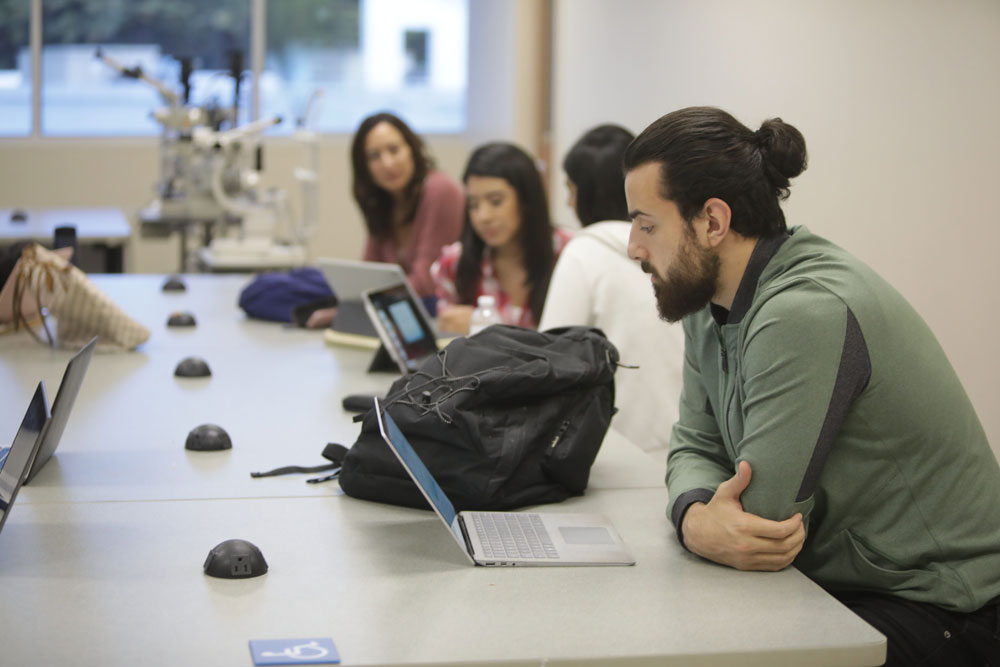 Students using laptops